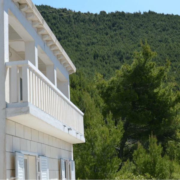 Villa Victor Babino Polje Zewnętrze zdjęcie