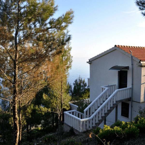Villa Victor Babino Polje Zewnętrze zdjęcie