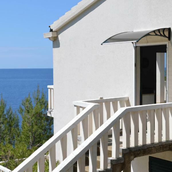 Villa Victor Babino Polje Zewnętrze zdjęcie